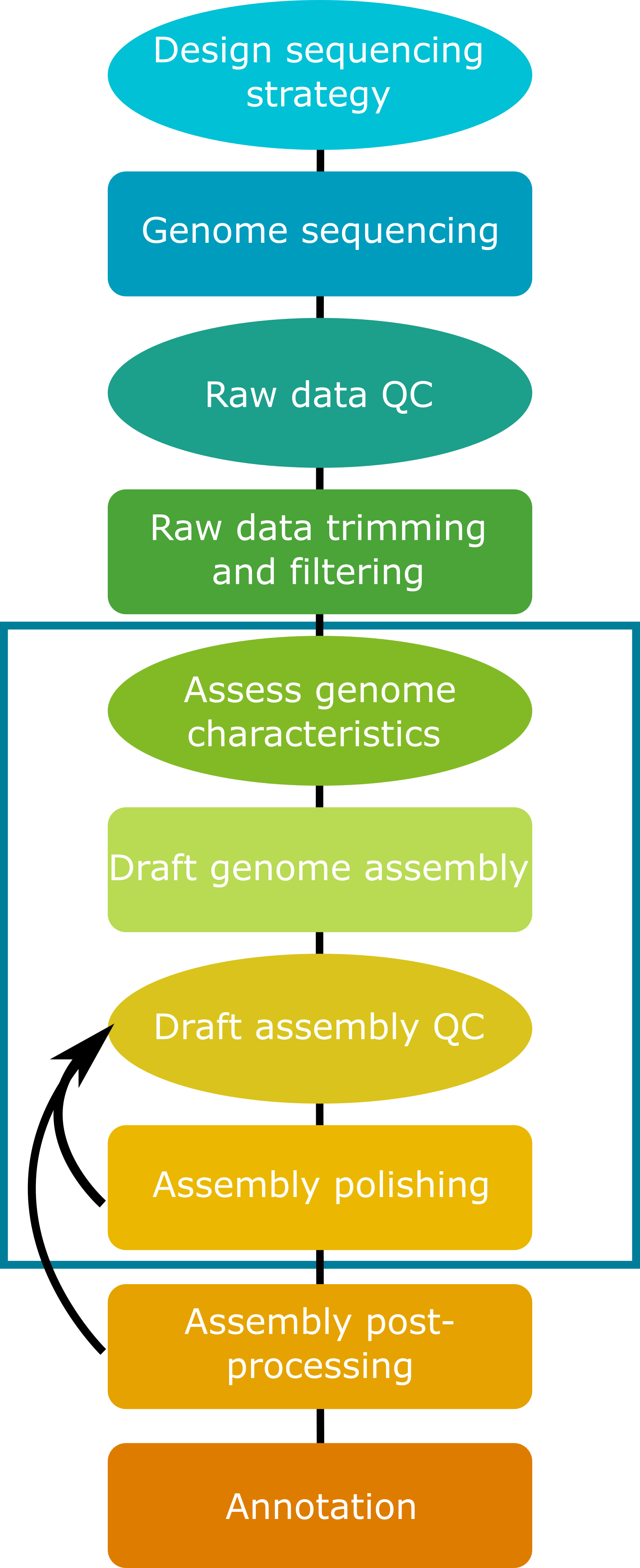 Introduction Genome Assembly