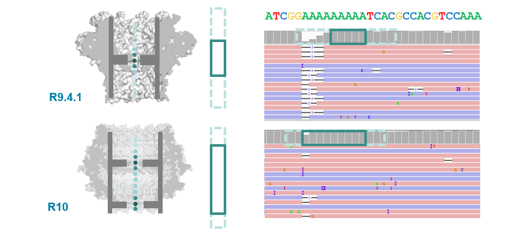 plot of chunk unnamed-chunk-20