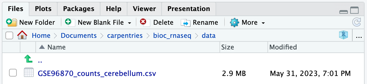 A file named GSE96870_counts_cerebellum.csv should now reside in the data folder.